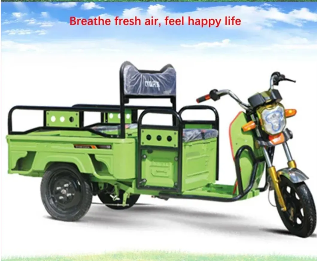 Wholesale Customizable Cargobike Open Body Low Price 3-Wheel Electric Motorcycle Tricycle for Cargo/Passenger Transport - detail 3