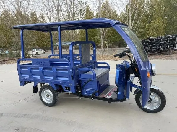 Cargo Loading Chinese 72V Three Wheel Sdlanch Electric Cargo Tricycle Motorcycles for Adult - detail 1