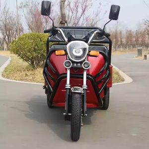 Household Cargo Electric Tricycle with Compact Structure and Practical Design