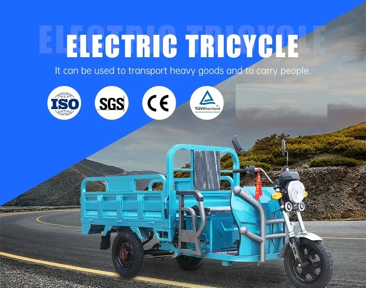 Household Cargo Electric Tricycle with Compact Structure and Practical Design - detail 1