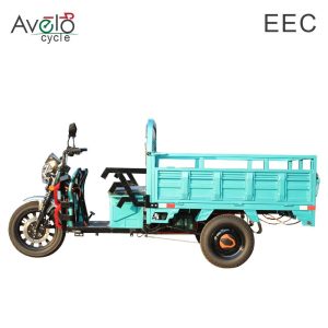 China Factory Direct Supply Colorful Durable Stable India Africa transportation Cargo Electric Tricycle