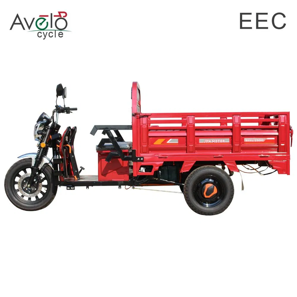 China Factory Direct Supply Colorful Durable Stable India Africa transportation Cargo Electric Tricycle - detail 1