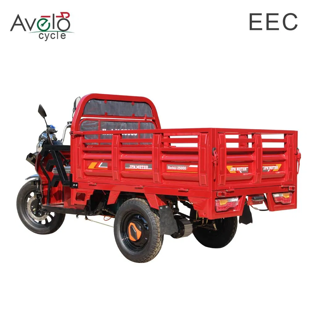 China Factory Direct Supply Colorful Durable Stable India Africa transportation Cargo Electric Tricycle - detail 2