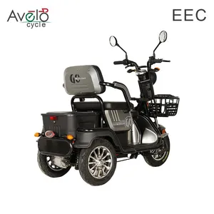 China Factory Direct Supply Colorful Durable Stable India Africa transportation Cargo Electric Tricycle - detail 20