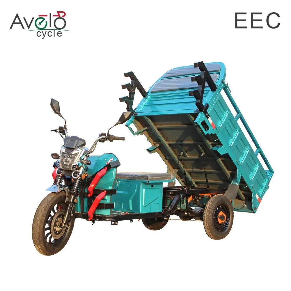 China Factory Direct Supply Colorful Durable Stable India Africa transportation Cargo Electric Tricycle - detail 3
