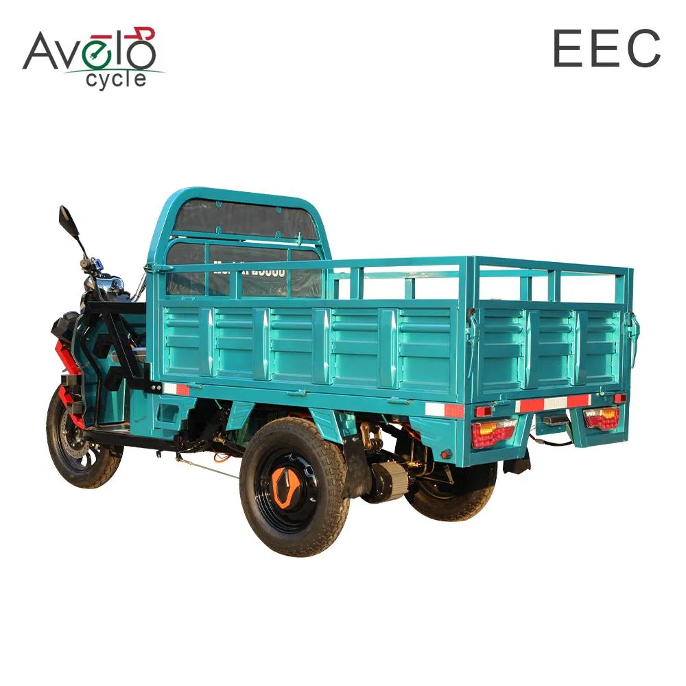 China Factory Direct Supply Colorful Durable Stable India Africa transportation Cargo Electric Tricycle - detail 4