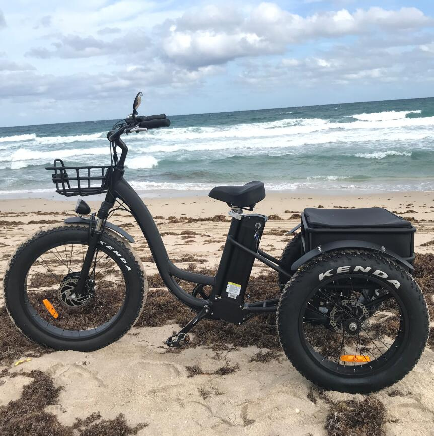 Long Range Powerful 48V 500W 20ah 60km Strong Performance Fat Tire Electric Cargo Tricycle