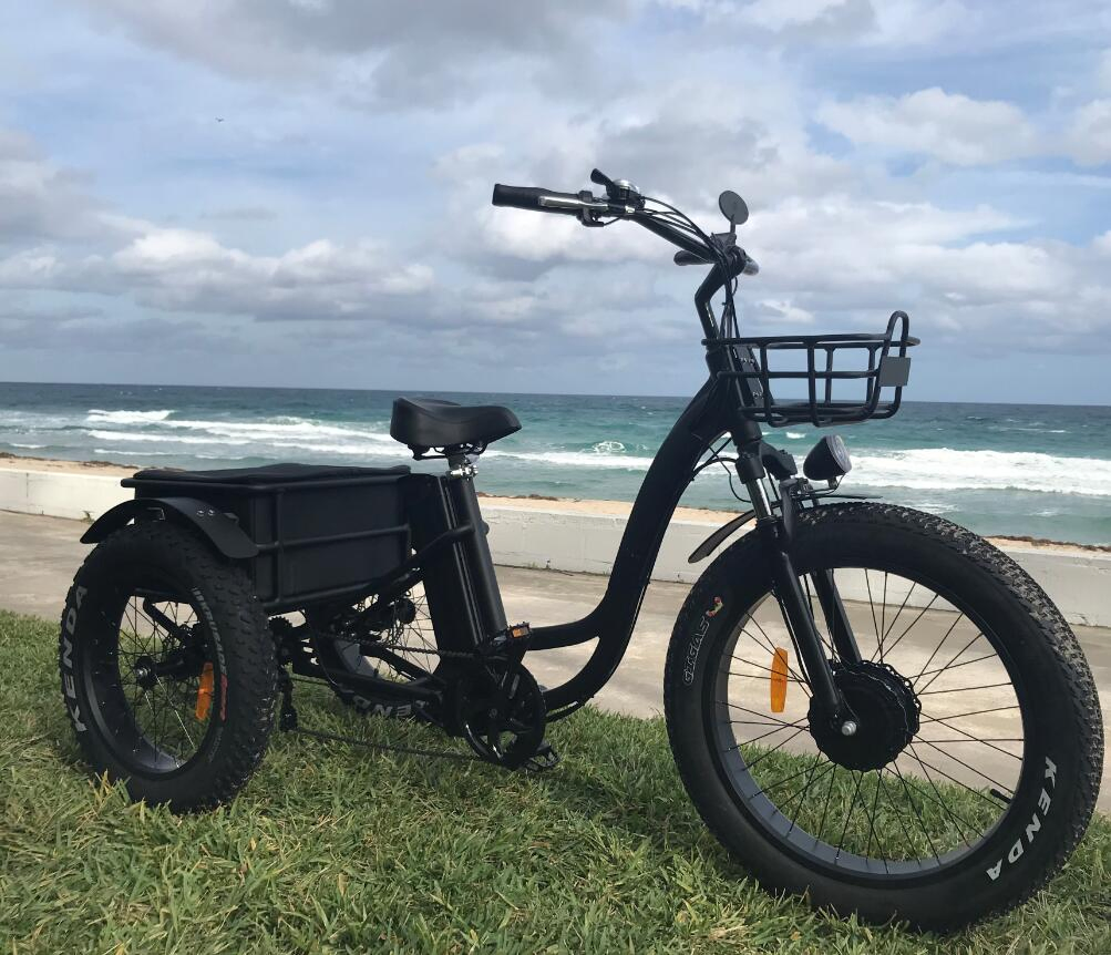 Long Range Powerful 48V 500W 20ah 60km Strong Performance Fat Tire Electric Cargo Tricycle - Image 4