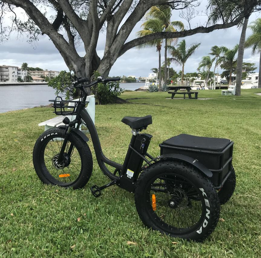 Long Range Powerful 48V 500W 20ah 60km Strong Performance Fat Tire Electric Cargo Tricycle - Image 5