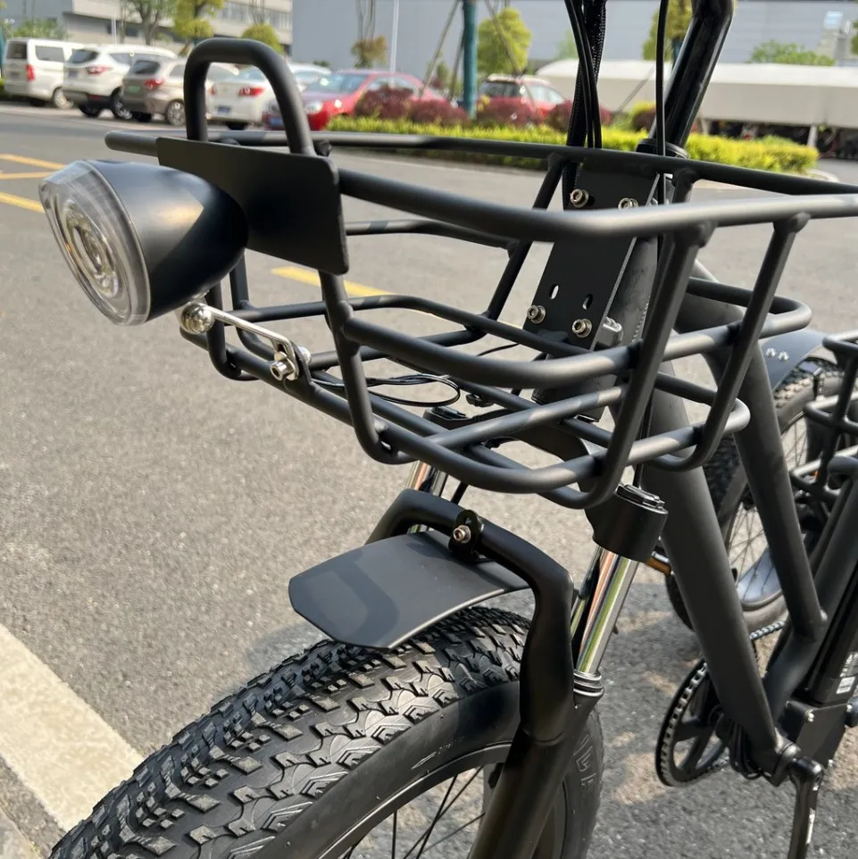 Long Range Powerful 48V 500W 20ah 60km Strong Performance Fat Tire Electric Cargo Tricycle - detail 1