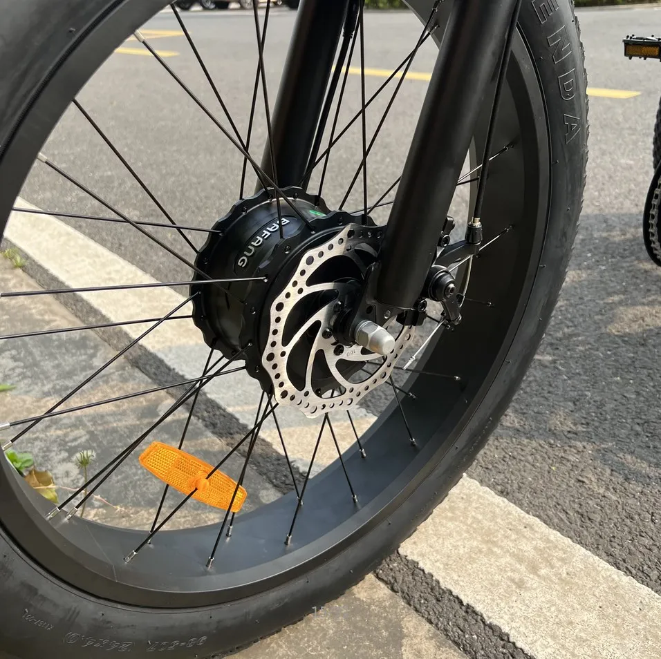 Long Range Powerful 48V 500W 20ah 60km Strong Performance Fat Tire Electric Cargo Tricycle - detail 2