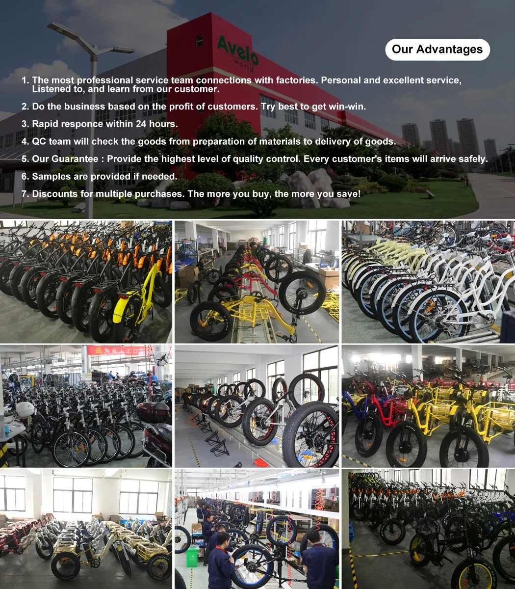 Long Range Powerful 48V 500W 20ah 60km Strong Performance Fat Tire Electric Cargo Tricycle - detail 12