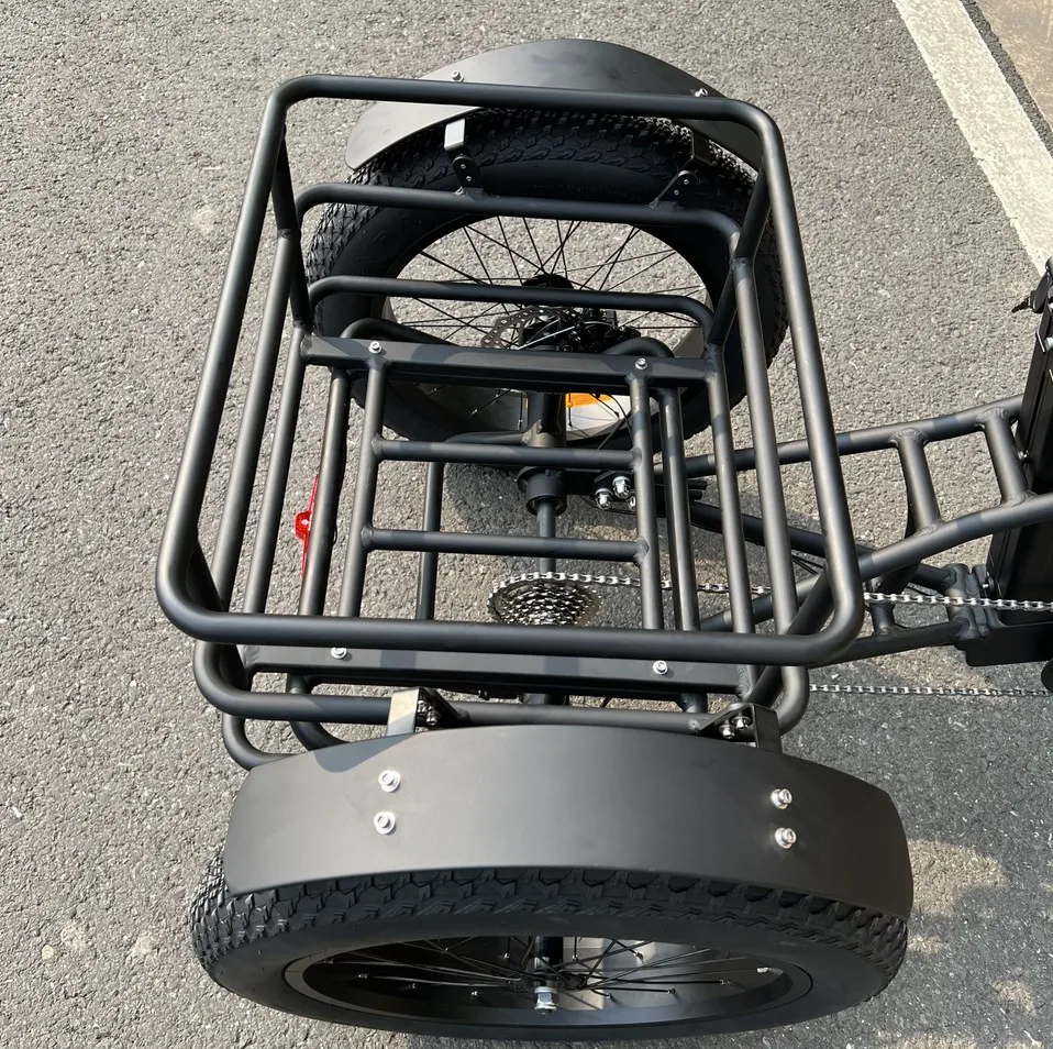 Long Range Powerful 48V 500W 20ah 60km Strong Performance Fat Tire Electric Cargo Tricycle - detail 3