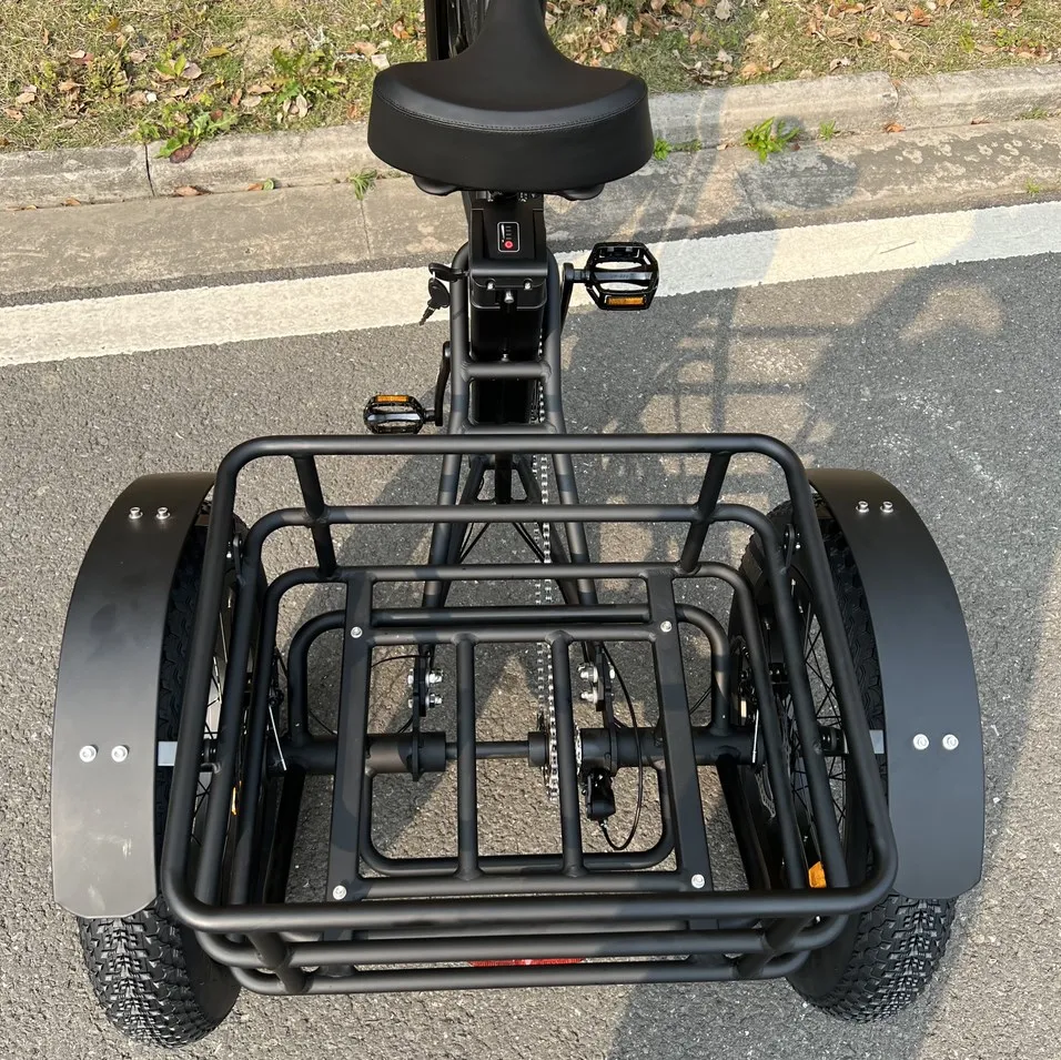 Long Range Powerful 48V 500W 20ah 60km Strong Performance Fat Tire Electric Cargo Tricycle - detail 4