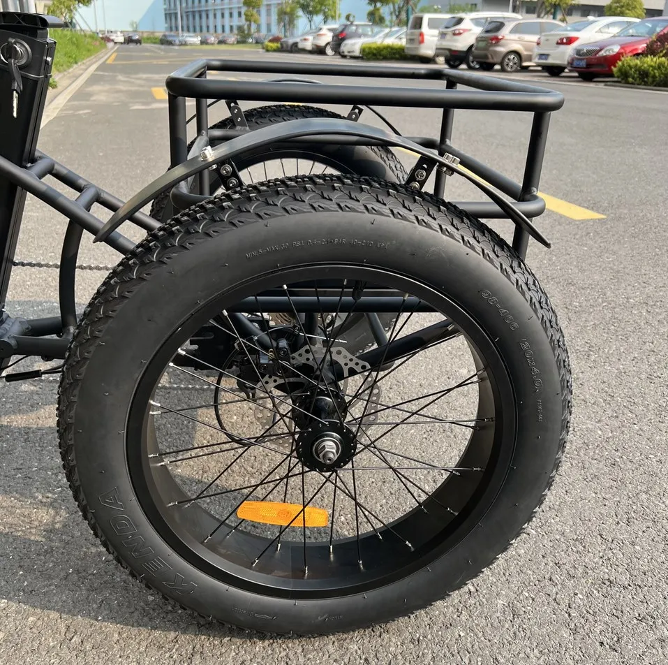 Long Range Powerful 48V 500W 20ah 60km Strong Performance Fat Tire Electric Cargo Tricycle - detail 6
