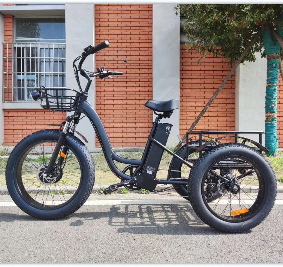 Long Range Powerful 48V 500W 20ah 60km Strong Performance Fat Tire Electric Cargo Tricycle - detail 7