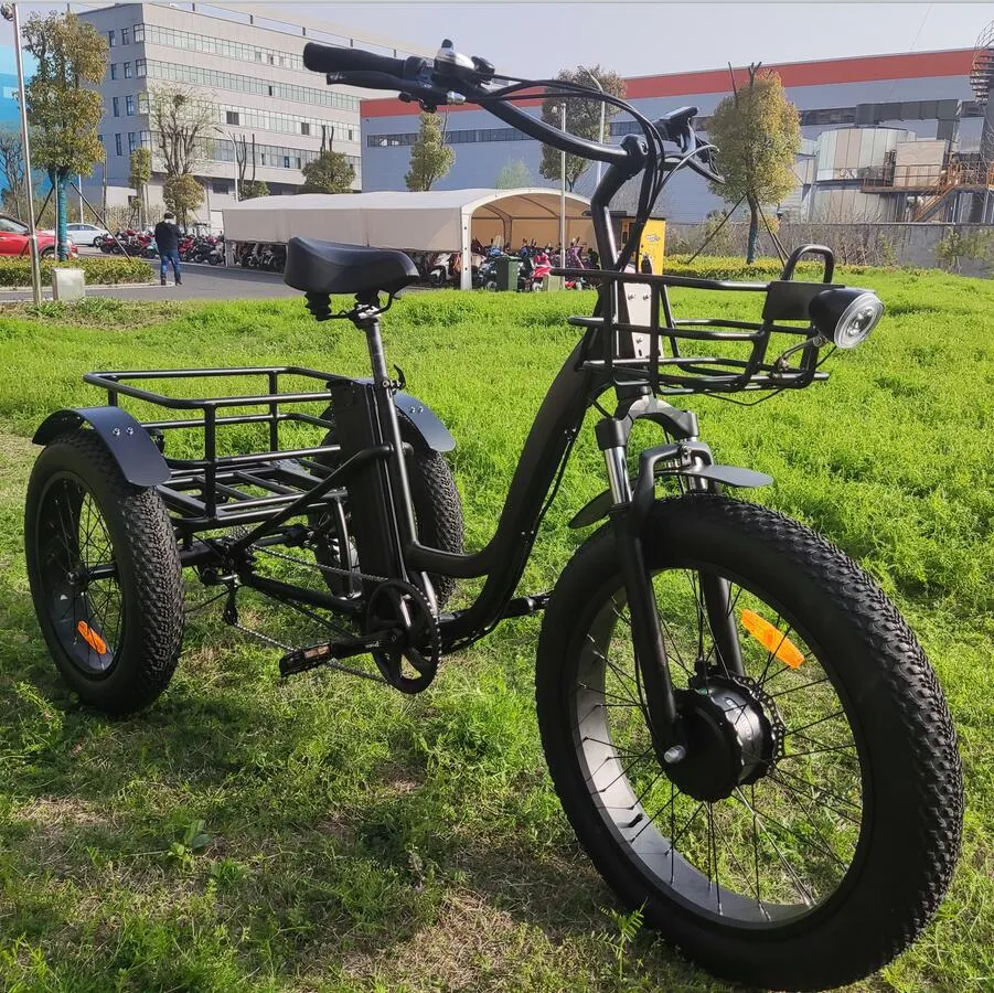 Long Range Powerful 48V 500W 20ah 60km Strong Performance Fat Tire Electric Cargo Tricycle - detail 8