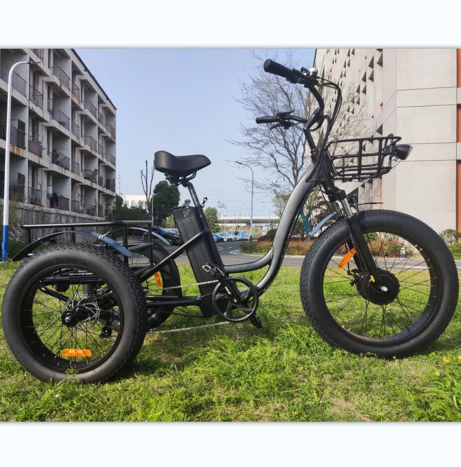 Long Range Powerful 48V 500W 20ah 60km Strong Performance Fat Tire Electric Cargo Tricycle - detail 9