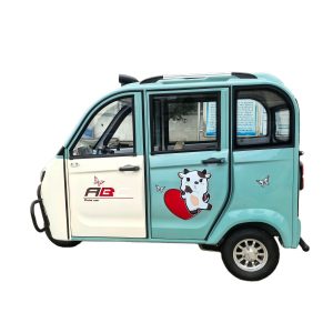 3 Wheel Electric Tricycle Passenger Cargo Dual Purpose with LED Lights