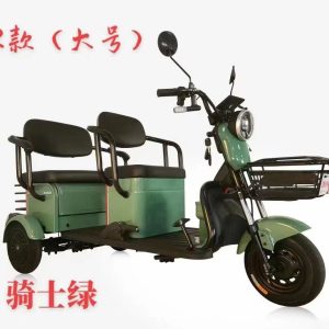 Hot Sales Popular Electric Tricycle E-Trike Scooter for Adult/Cargo/Passenger