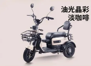 Hot Sales Popular Electric Tricycle E-Trike Scooter for Adult/Cargo/Passenger - detail 11