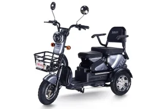 Hot Sales Popular Electric Tricycle E-Trike Scooter for Adult/Cargo/Passenger - detail 12