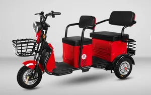 Hot Sales Popular Electric Tricycle E-Trike Scooter for Adult/Cargo/Passenger - detail 13