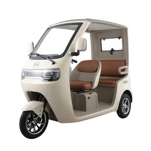 Hot Sales Popular Electric Tricycle E-Trike Scooter for Adult/Cargo/Passenger - detail 16