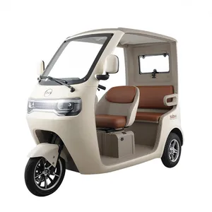 Hot Sales Popular Electric Tricycle E-Trike Scooter for Adult/Cargo/Passenger - detail 18
