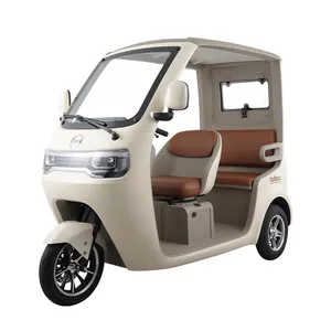 Hot Sales Popular Electric Tricycle E-Trike Scooter for Adult/Cargo/Passenger - detail 19