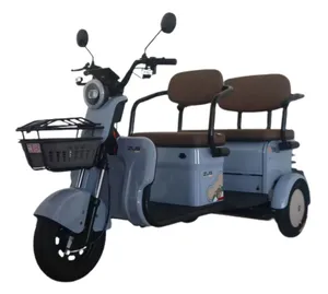 Hot Sales Popular Electric Tricycle E-Trike Scooter for Adult/Cargo/Passenger - detail 20