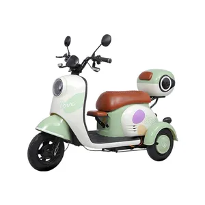 Paige Direct Factory Custom Cheap Adult 3-Wheeled Electric Cargo Tricycle with Stable Structure Mini Electric Vehicle - detail 13