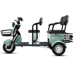 Paige Direct Factory Custom Cheap Adult 3-Wheeled Electric Cargo Tricycle with Stable Structure Mini Electric Vehicle - detail 15