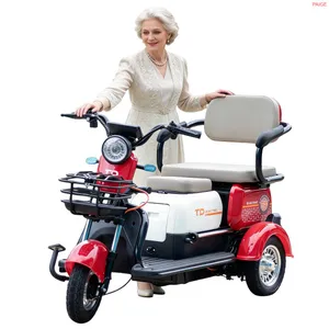 Paige Direct Factory Custom Cheap Adult 3-Wheeled Electric Cargo Tricycle with Stable Structure Mini Electric Vehicle - detail 16
