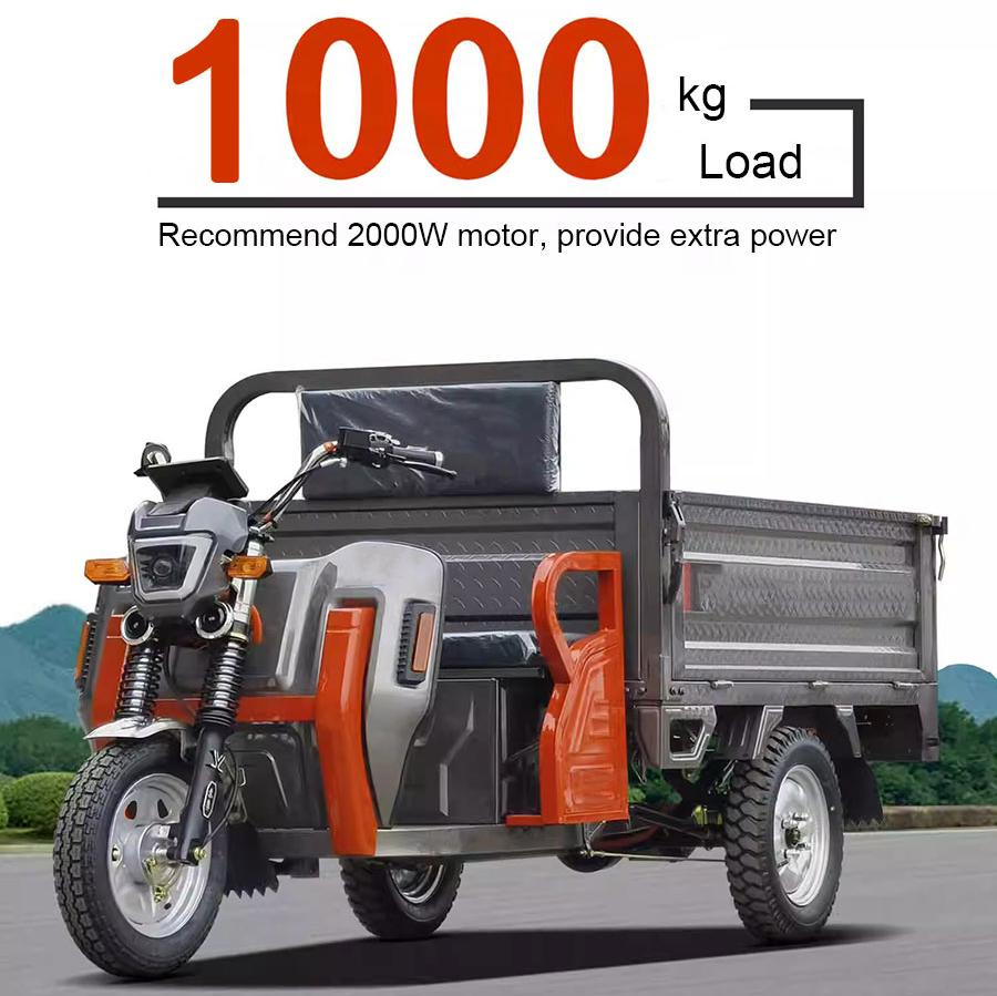 Super Power Carrying 1200W Heavy Duty Farm Electric Pedal Adult Cargo Electric Tricycle
