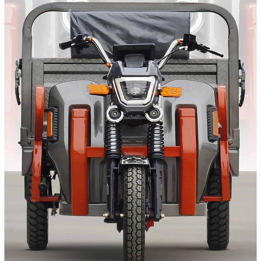 Super Power Carrying 1200W Heavy Duty Farm Electric Pedal Adult Cargo Electric Tricycle - Image 3