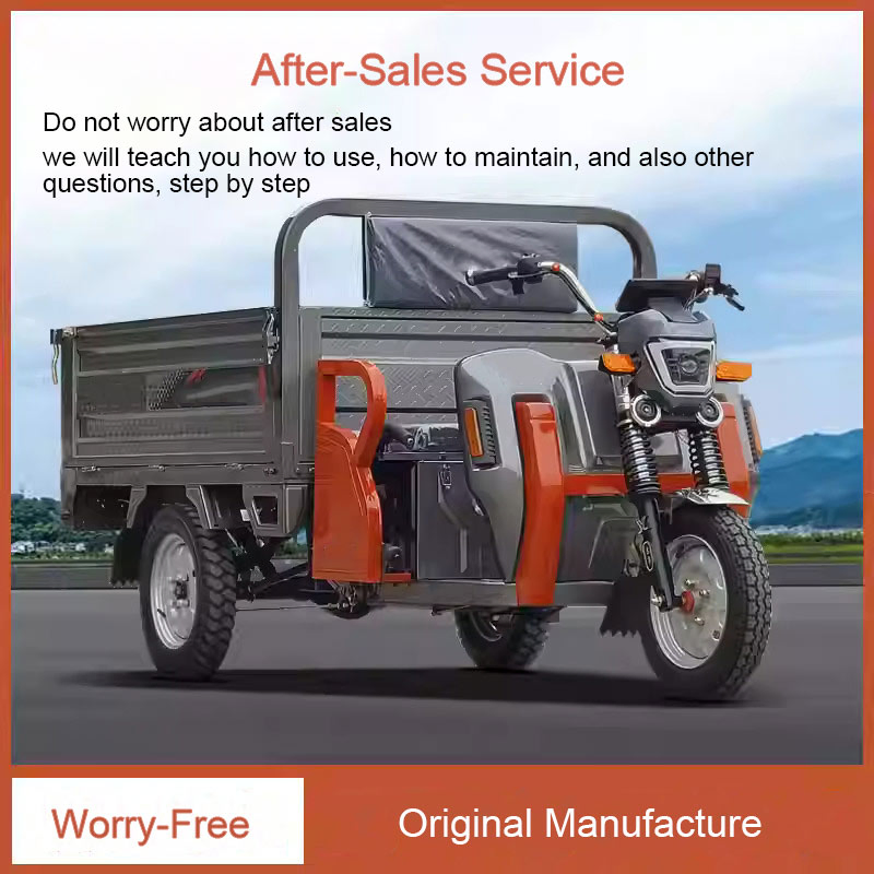 Super Power Carrying 1200W Heavy Duty Farm Electric Pedal Adult Cargo Electric Tricycle - Image 4
