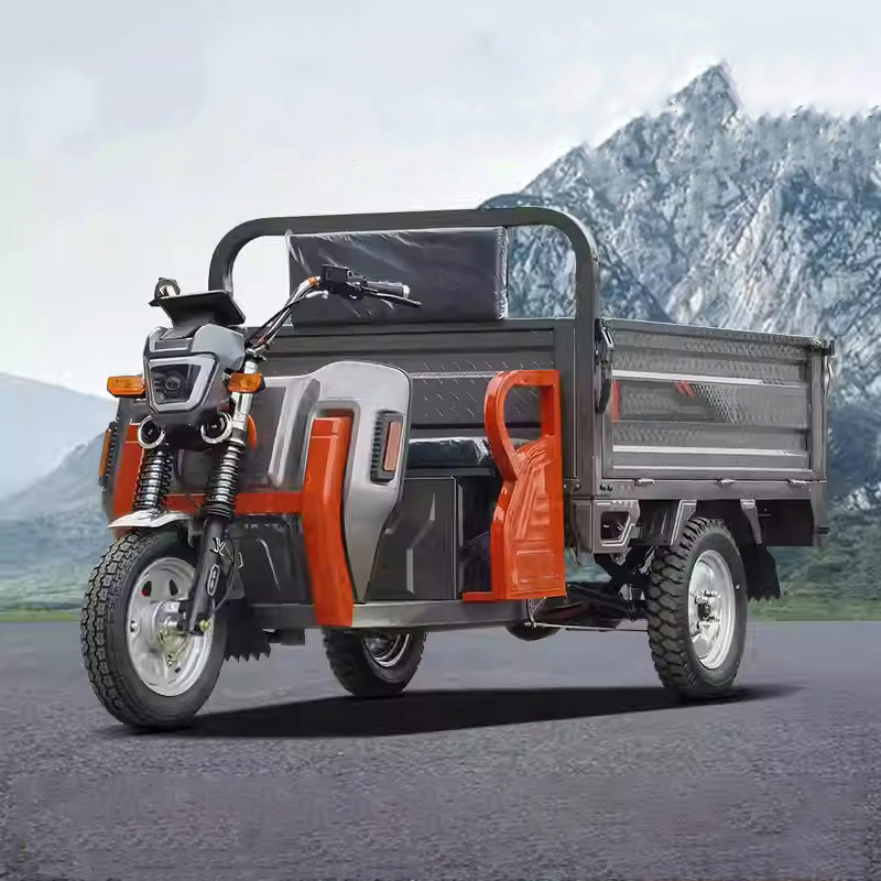Super Power Carrying 1200W Heavy Duty Farm Electric Pedal Adult Cargo Electric Tricycle - Image 6