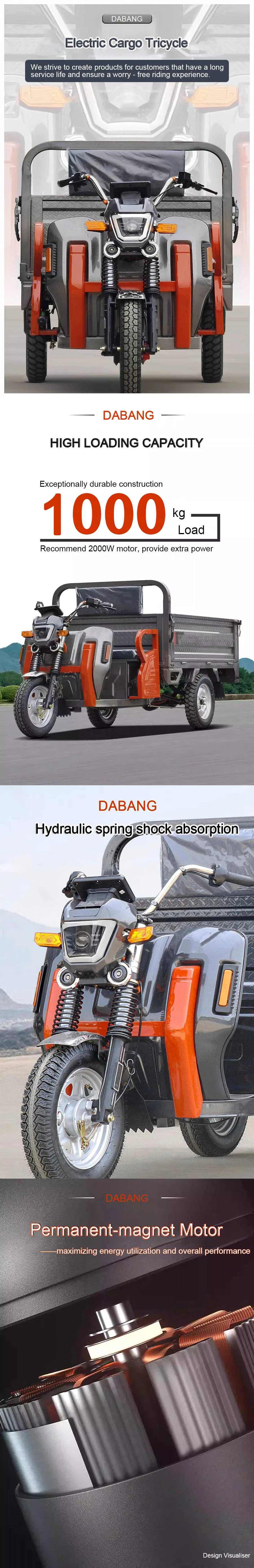 Super Power Carrying 1200W Heavy Duty Farm Electric Pedal Adult Cargo Electric Tricycle - detail 1