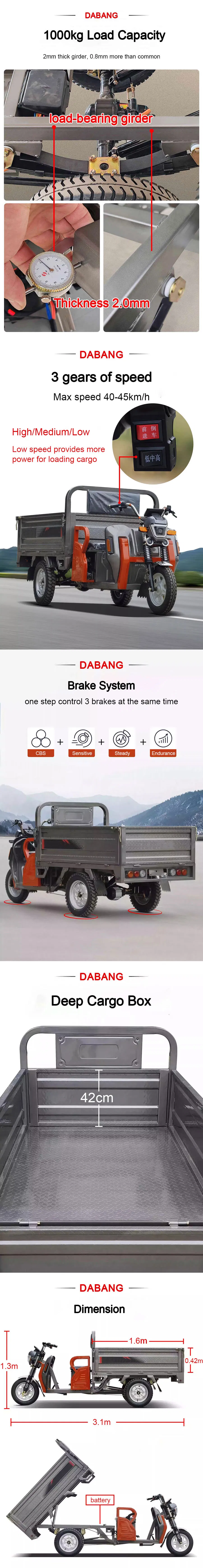 Super Power Carrying 1200W Heavy Duty Farm Electric Pedal Adult Cargo Electric Tricycle - detail 3