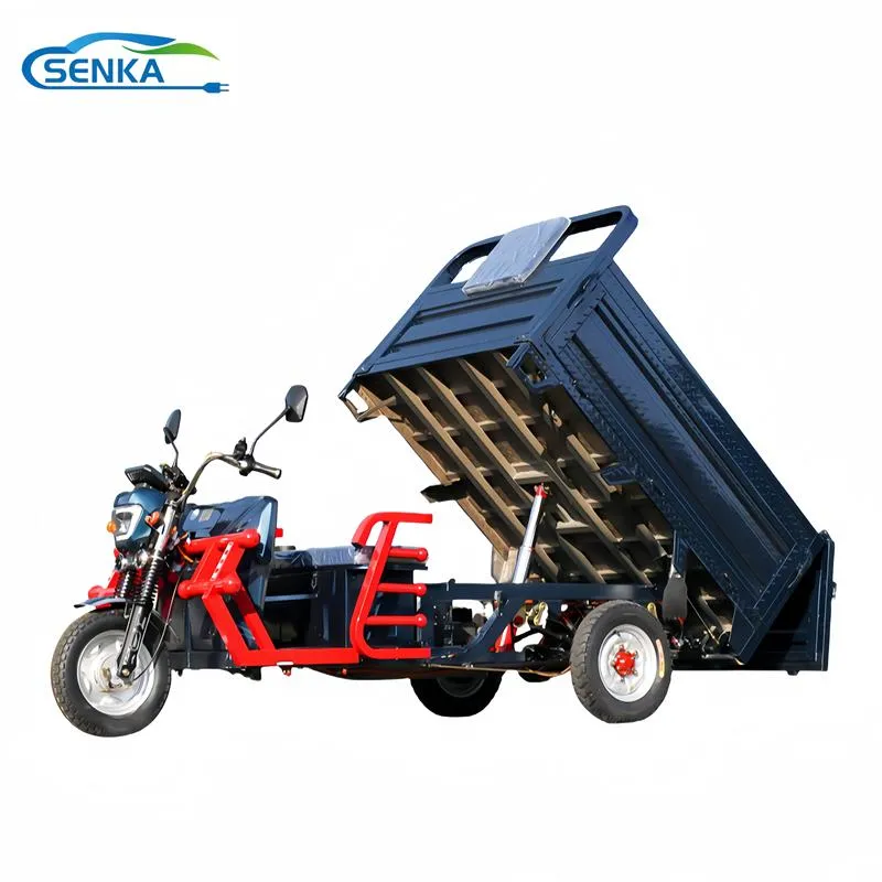 New Design Modern Electric Tricycle for Cargo with Cab and High Torque Rear Axle Made in China - detail 1